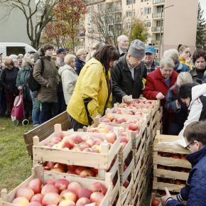 Almát osztott Egerben a Fidesz frakció Almát osztott Egerben a Fidesz frakció