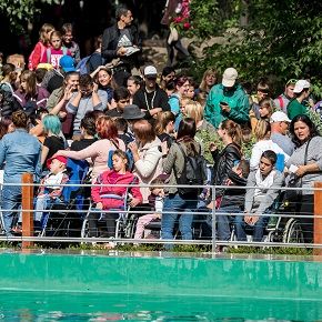 A kormány stratégiai partnerként tekint a fogyatékossággal élőkre és az őket segítőkre A kormány stratégiai partnerként tekint a fogyatékossággal élőkre és az őket segítőkre
